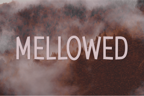 Mellowed: A Unique Sans Serif Font for Branding