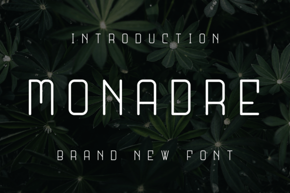 Monadre: A Versatile Sans Serif Font for Small Business Branding
