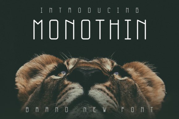 Monothin: A Clean Sans Serif Font for Modern Brands