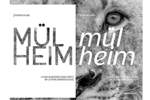 Mulheim Font Review: A Modern Sans Serif for Web Design
