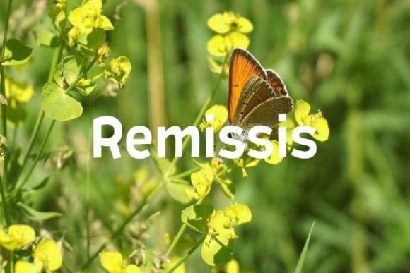 Remissis: The Semi-Casual Typeface for Clear Campaigns