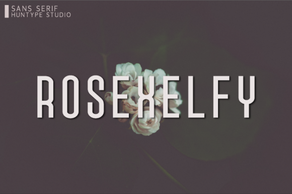 Rosexelfy: A Clean Sans Serif Font for Small Business Branding